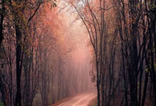 DB game-泪染红衫：那一夜，艾什顿门的裂缝中淌出整座城的叹息