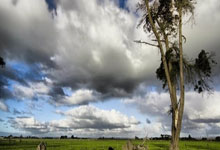 DB彩票官网-钢铁战车碾碎三狮黎明！亚洲杯暗流涌动，足球大陆烽烟再起