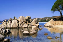 DB彩票官网-南大王君临德甲！拜仁绝境狂飙，凯恩首冠引爆安联史诗夜