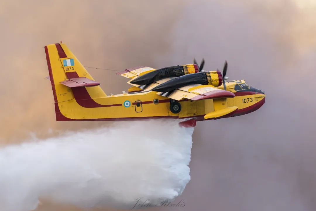 -美国选手双料封后，力挽狂澜夺冠的简单介绍